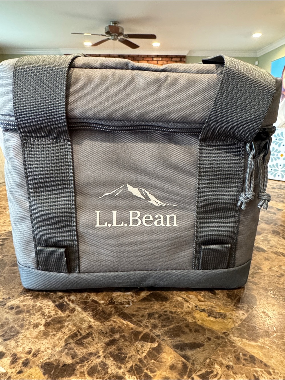 L.L.Bean Softpac Gray Insulated Cooler Tote Excellent Condition